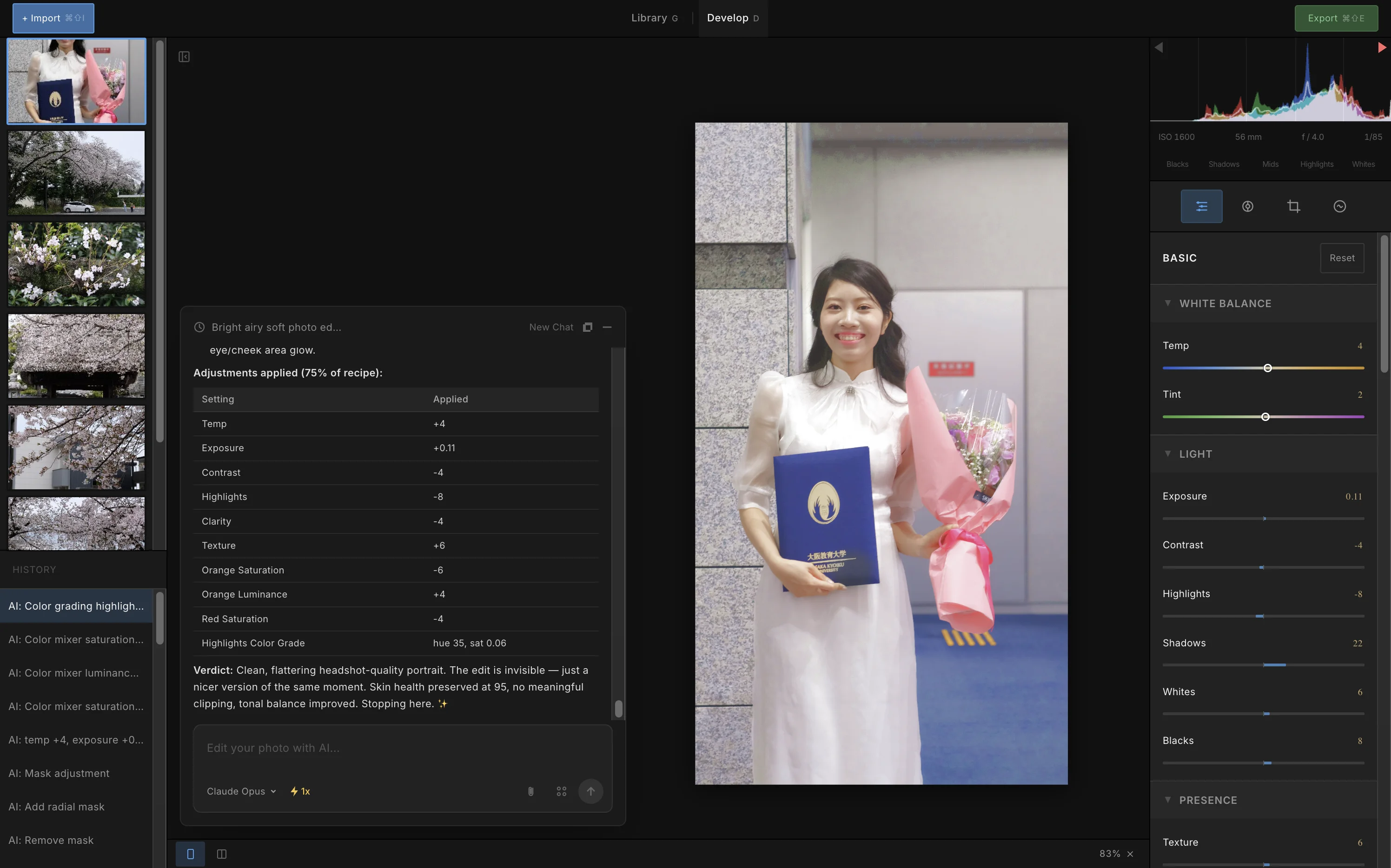 AI Agent analyzing and editing a photo in Zenliro