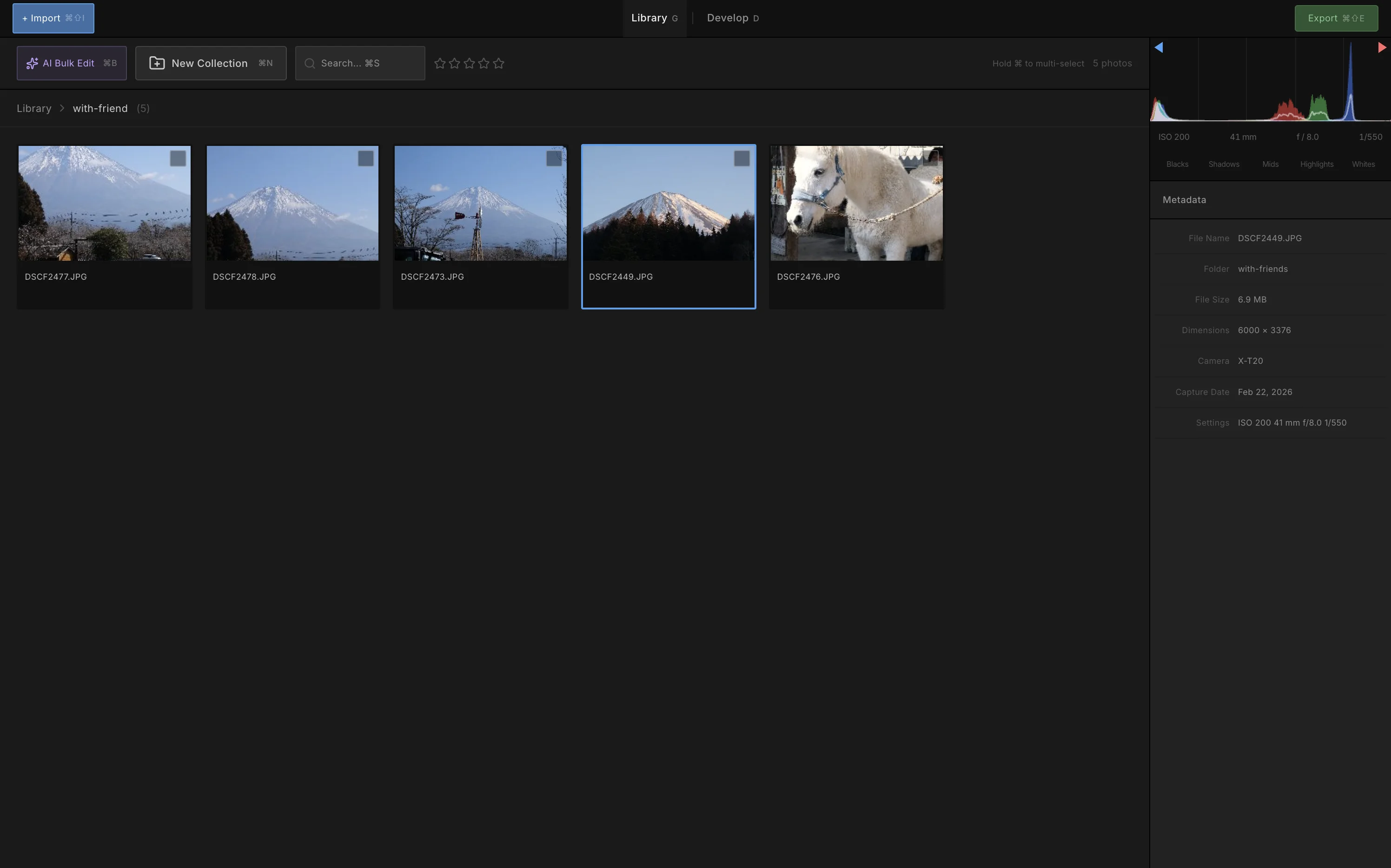 Zenliro photo management workspace